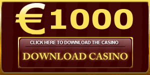 100% up to 1000 Euro